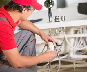 About Plumbers Pros Martin, MI
